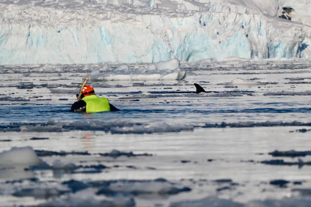 Kto odkrył Antarktydę? Historia odkrycia, która zaskakuje faktami