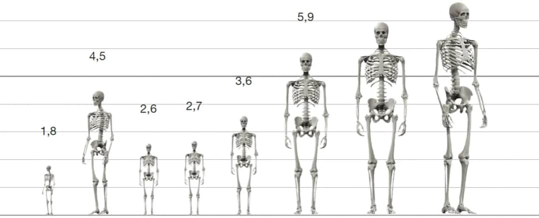 Ile wzrostu mieli ludzie w średniowieczu? Zaskakujące różnice społeczne