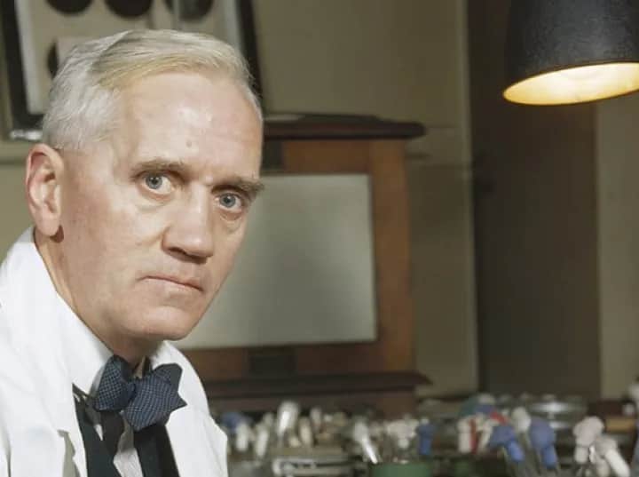 Kto wynalazł penicylinę? Niezwykła historia odkrycia, które zmieniło świat