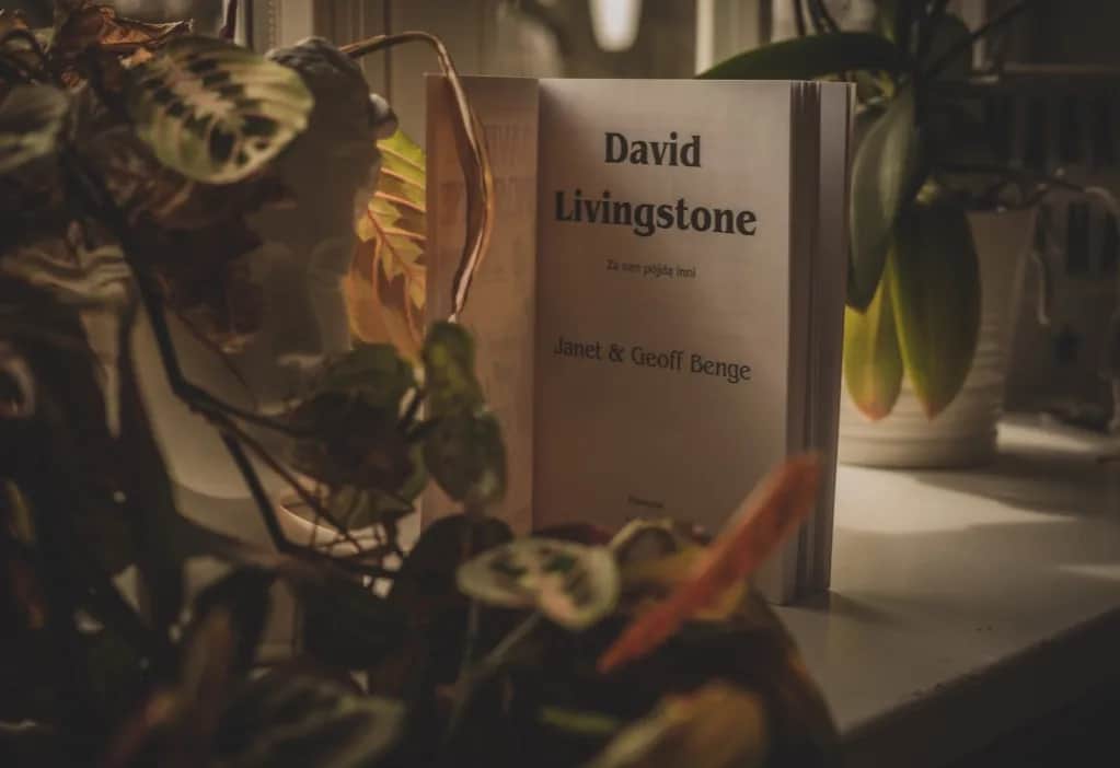 David Livingstone – co odkrył i jak zmieniło to Afrykę David Livingstone – co odkrył i jak zmieniło to Afrykę