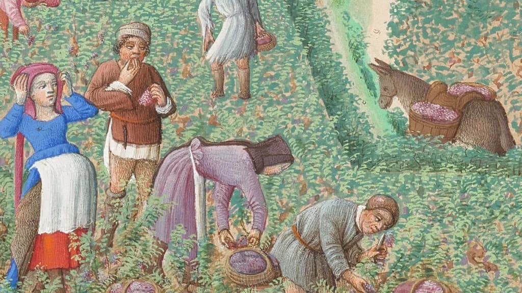 Skąd się wzięła nazwa średniowiecze? Odkryj jej fascynującą historię